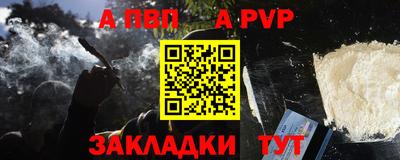 крисы Кингисепп