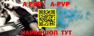 крисы Кингисепп