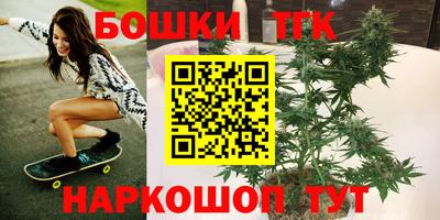 крисы Кингисепп