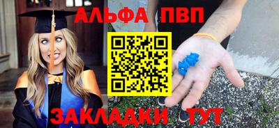 крисы Кингисепп