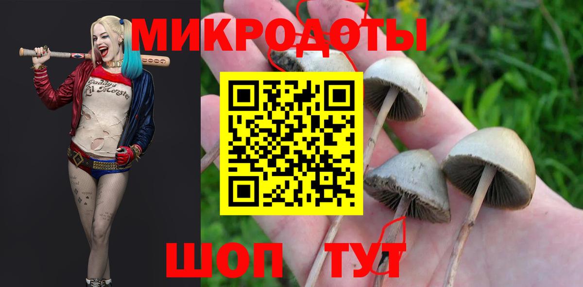 Галлюциногенные грибы GOLDEN TEACHER Ярцево