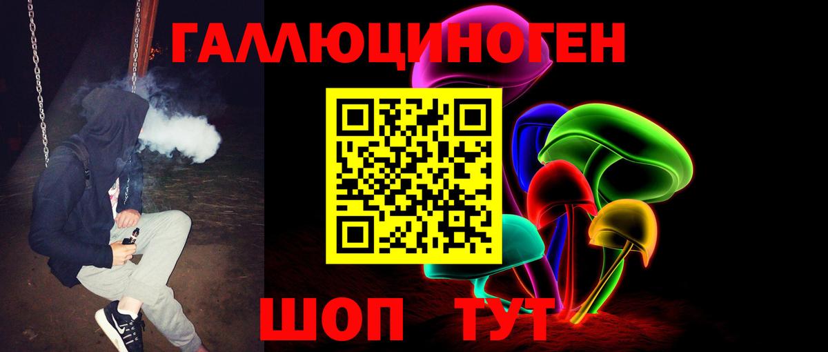 Ярцево  Псилоцибиновые грибы Psilocybine cubensis  Вход с VPN 